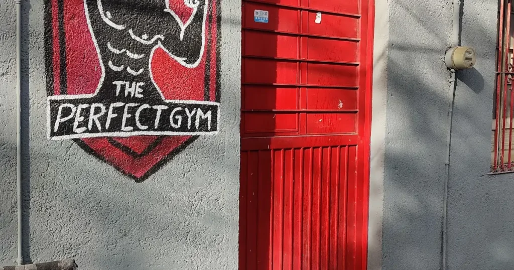 Perfect Gym Mty