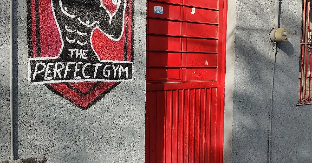 Perfect Gym Mty