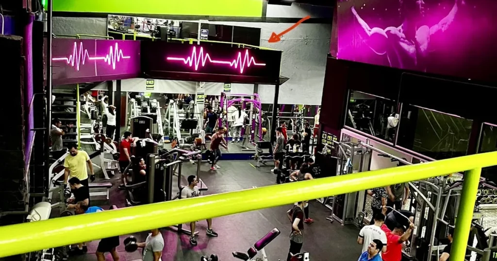 Power Factor Gym