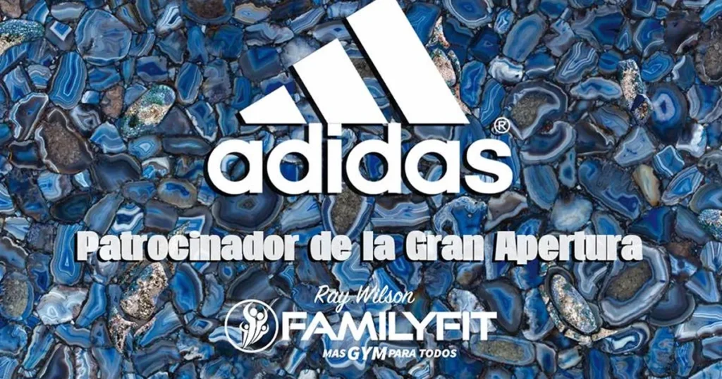 Ray Wilson FamilyFit Palmares