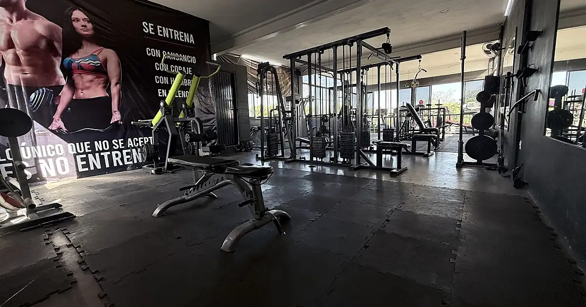 Total Body Gym