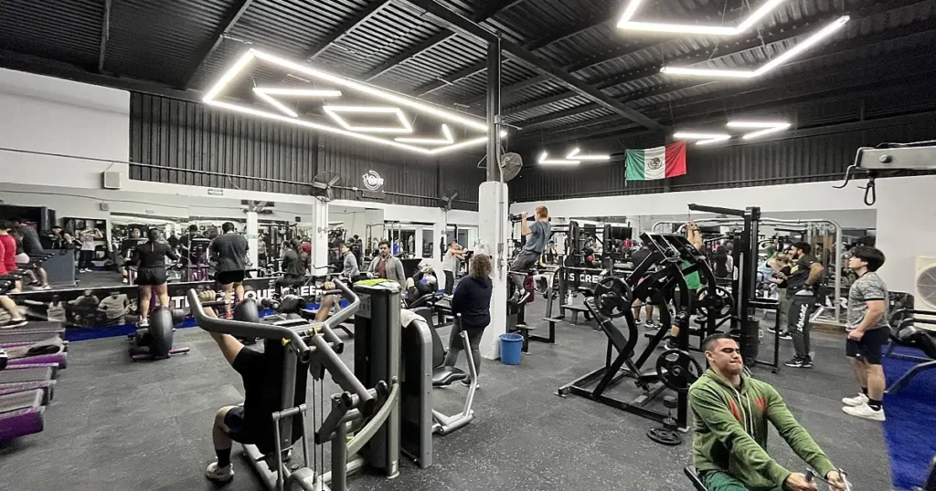 GO FIT