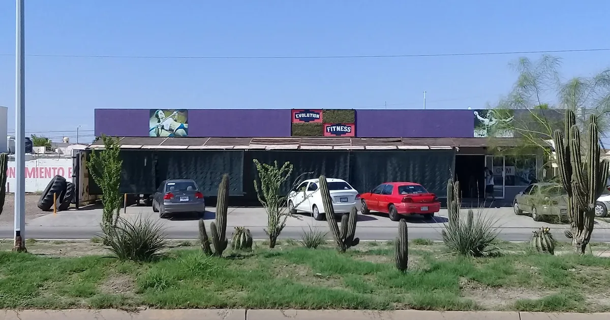 Evolution GYM