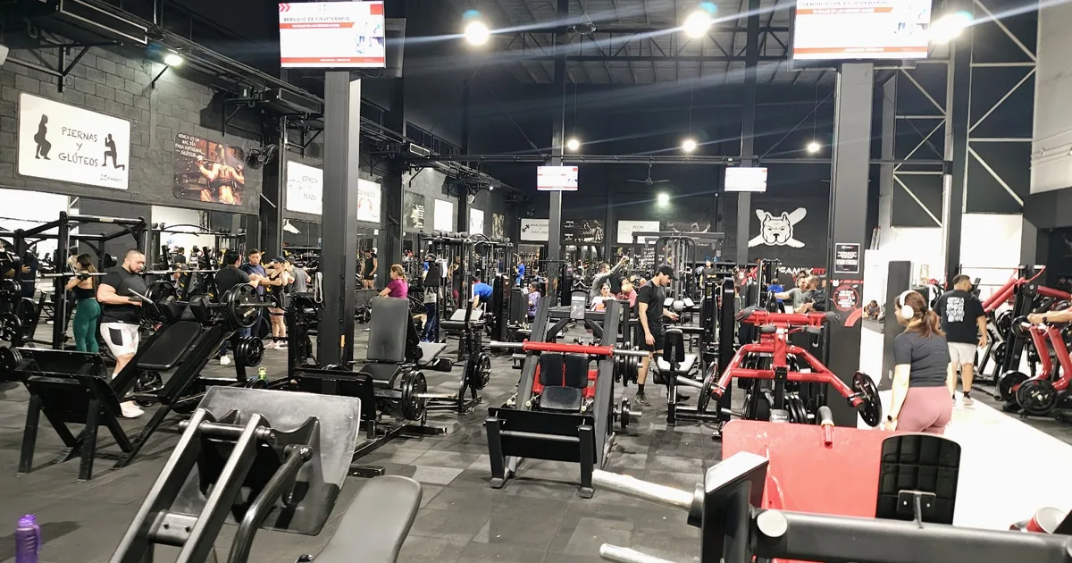 Family Fit By Bullies