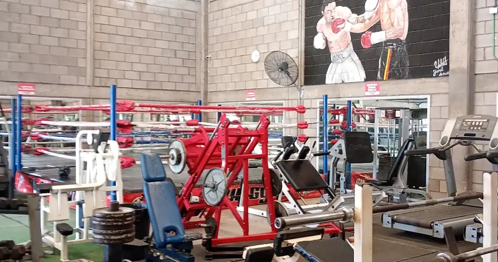 Kochul Gym THE CHAMP