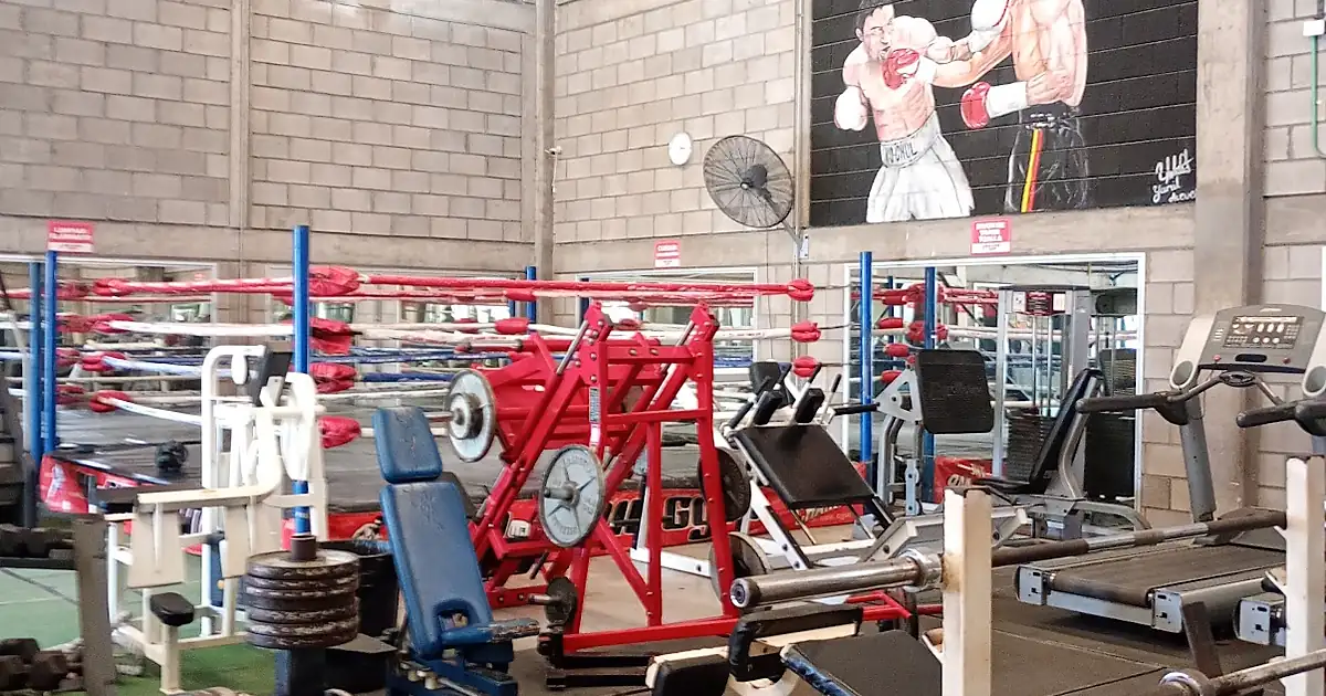 Kochul Gym THE CHAMP