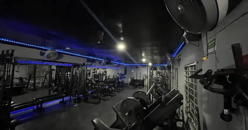 Scorpion Gym