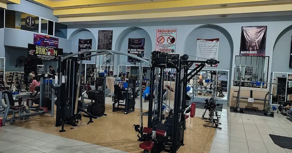 Locky’s Gym