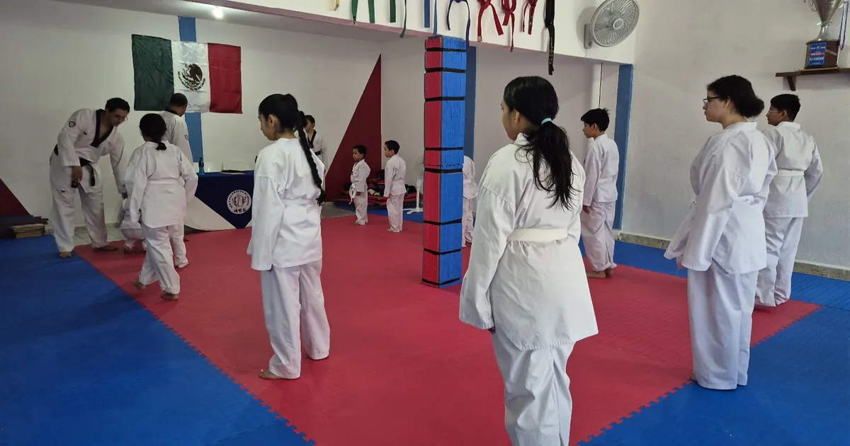 Kim’s taekwondo CD. Valles