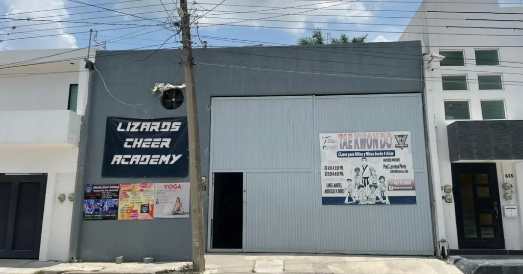 Lizards Cheer & Dance Academy