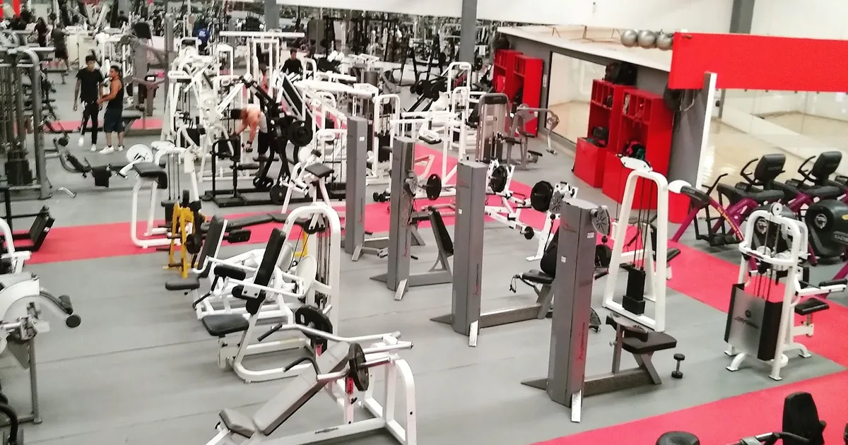 Iron Gym Carretera 57