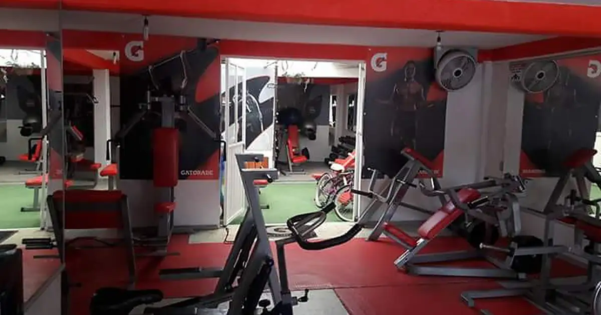 Gym euro sport