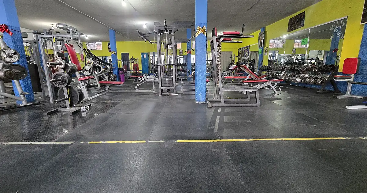 Marcos Gym S.L.P.