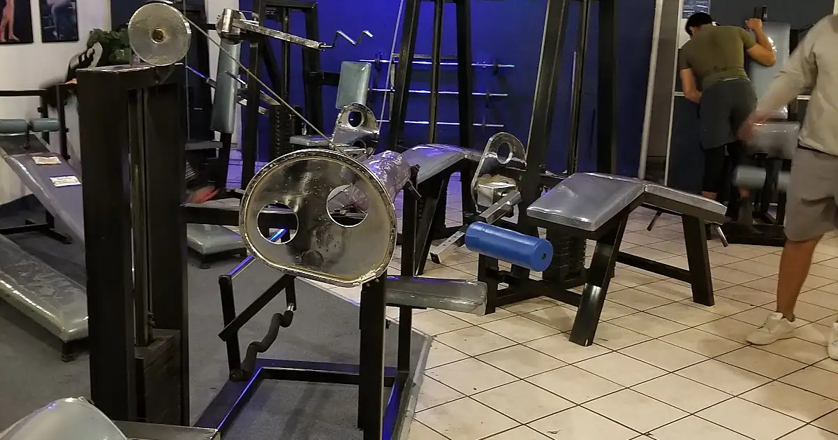 Plus Profesional Gym