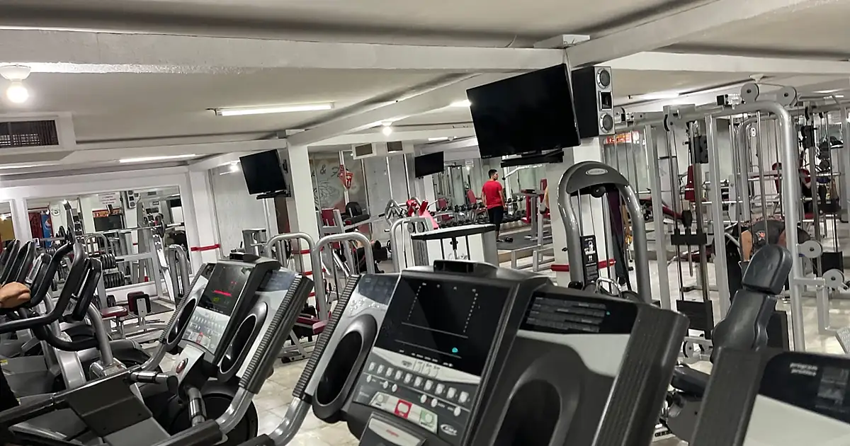 Gym Fitness