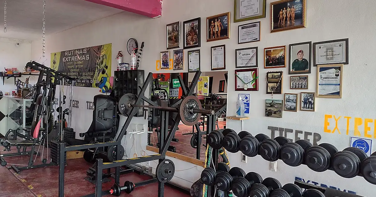 TIGGER WORLD alto rendimiento gym funcional