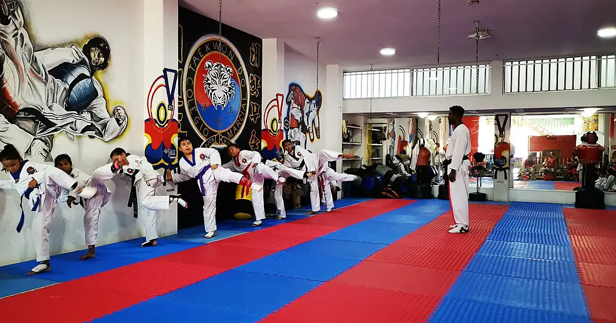 GYM & TAEKWONDO TIGRE