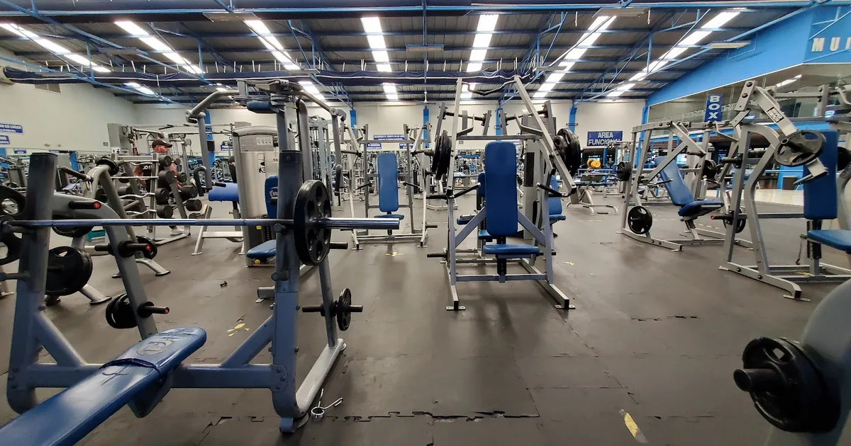 New Body Gym
