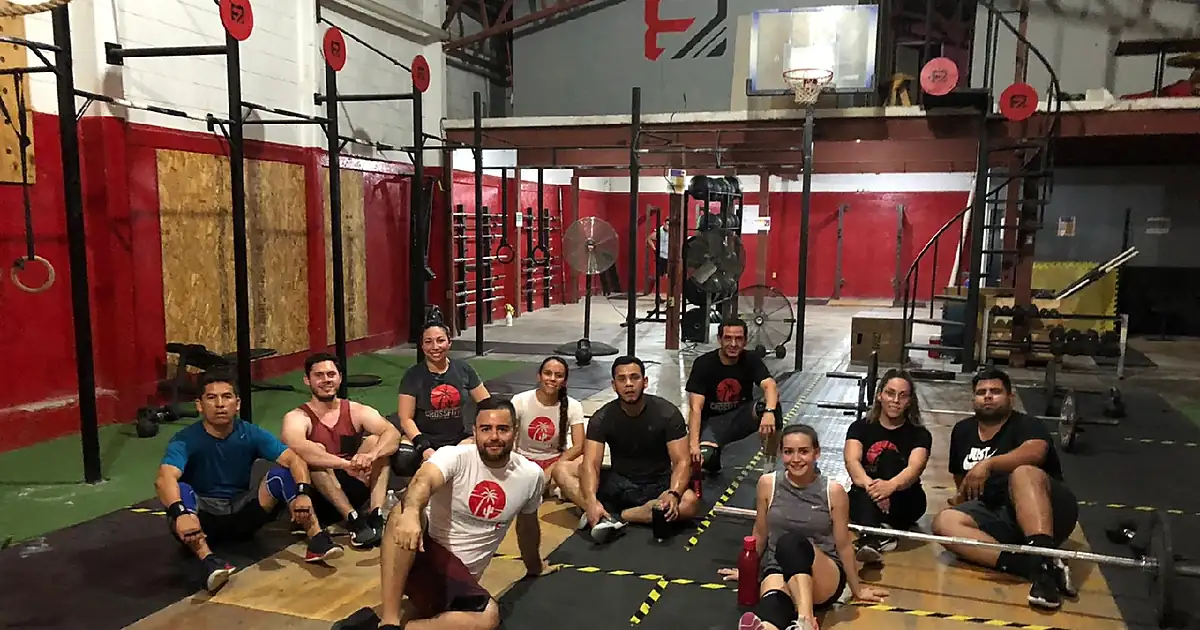 CF 87