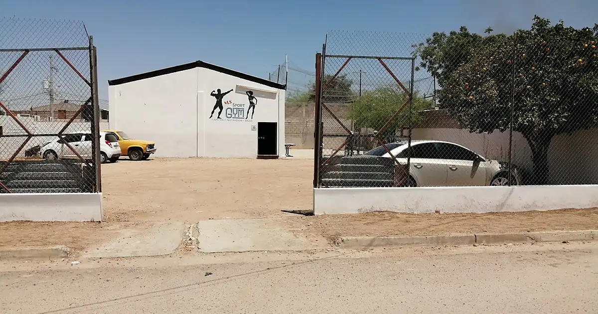M S Sport Gym