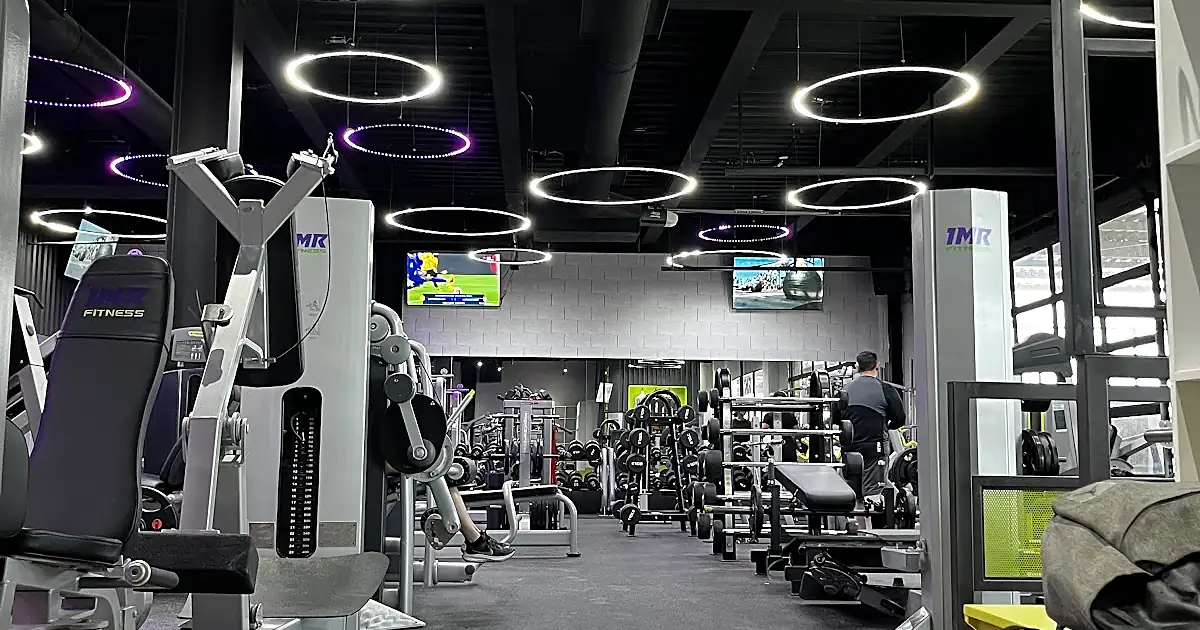 1Mr Fitness