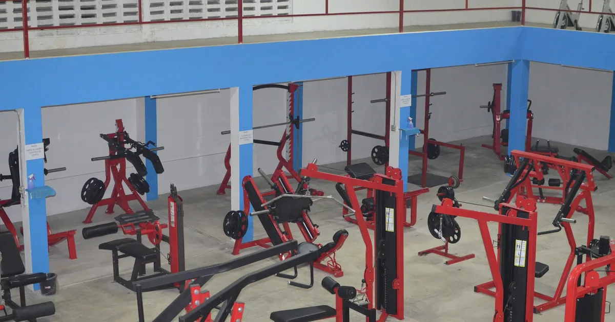 Gym Body Evolution 3