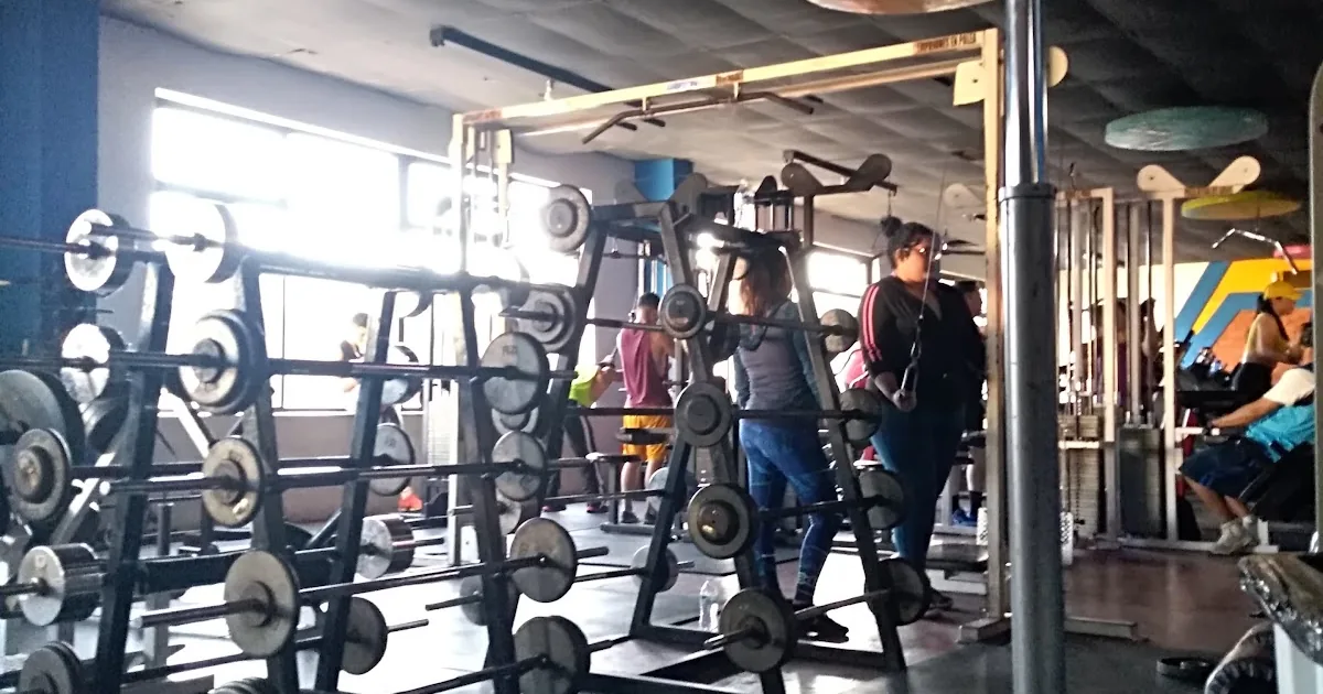 Gym-y’s