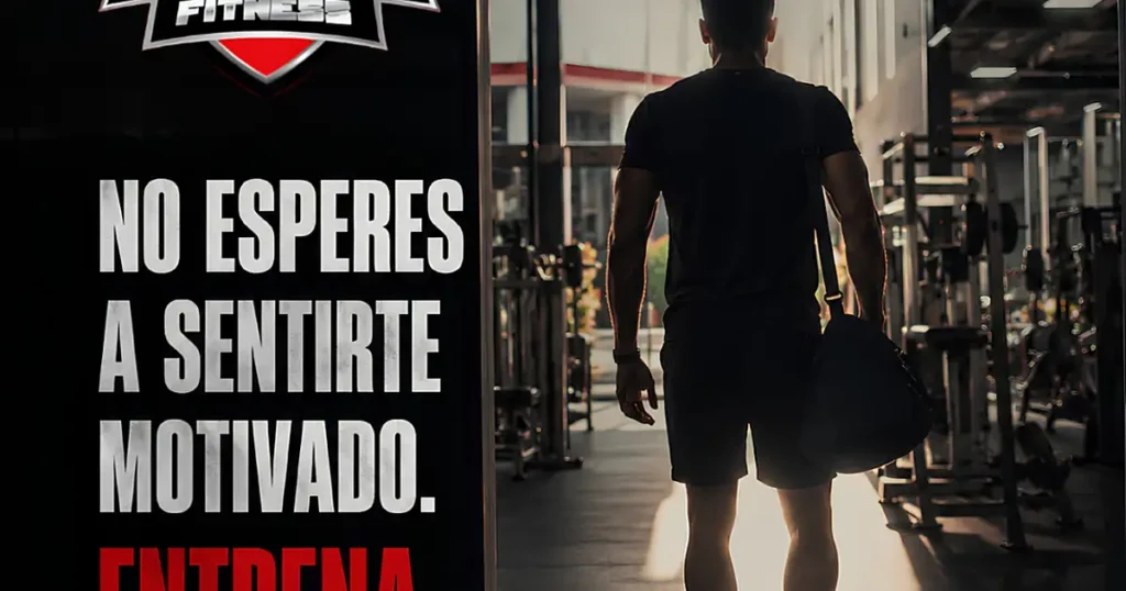 Live Fitness