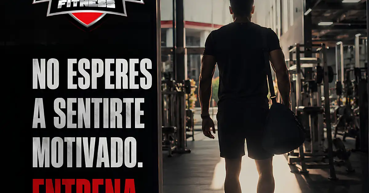 Live Fitness