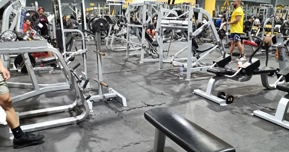 AM Fitness Altamira