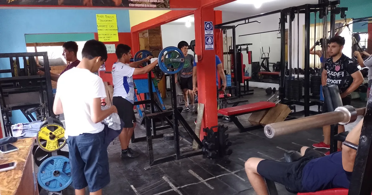 starker gym