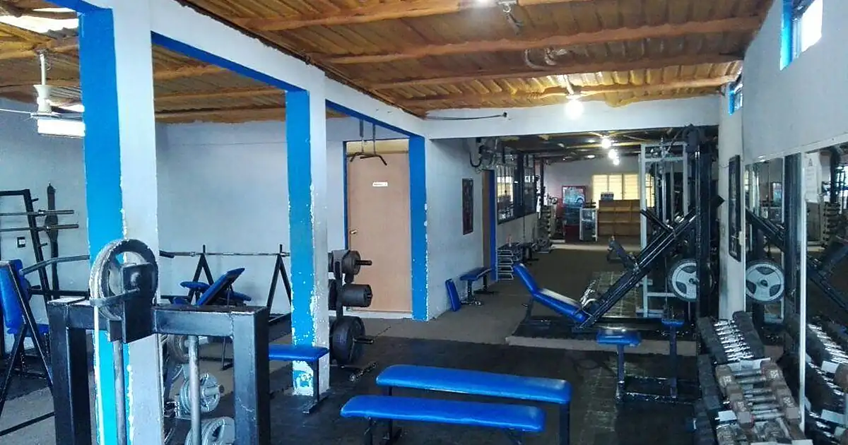 BUFFALO´S GYM