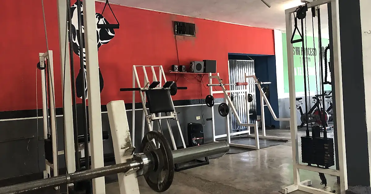 Evolution Gym