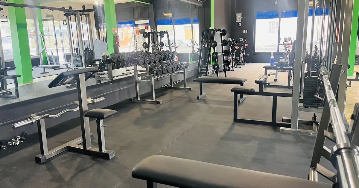 Gym Alpha Fitness