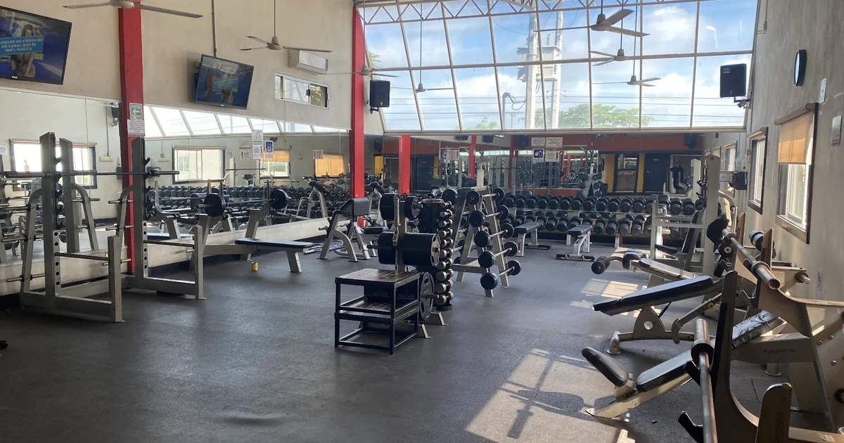 El Coliseo Gimnasio