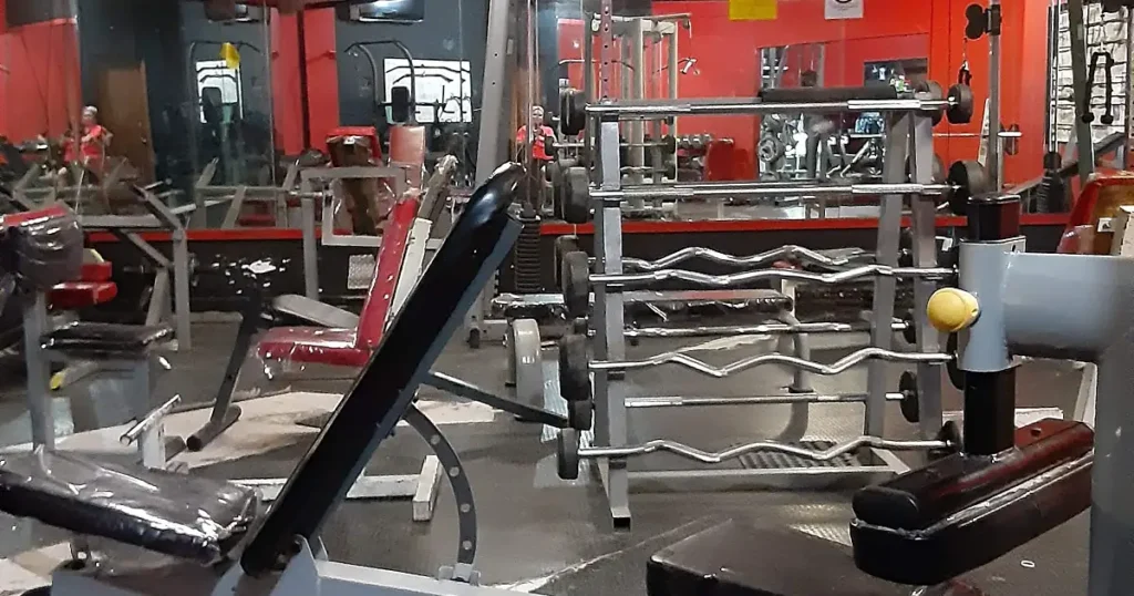 Bull Gym Matamoros