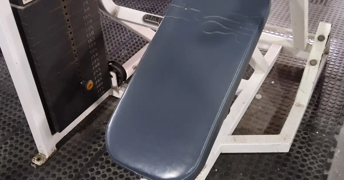 Workout Nutricion And Fitness