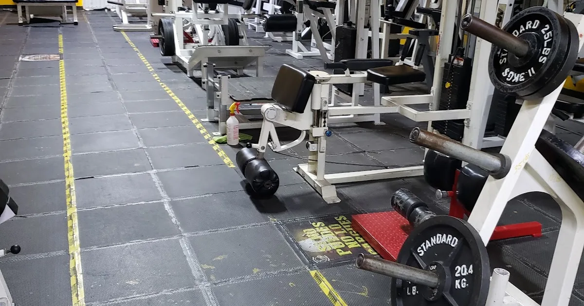Sport Gym Papa Milo