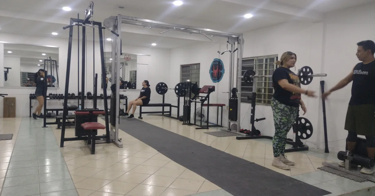 Spider Gym