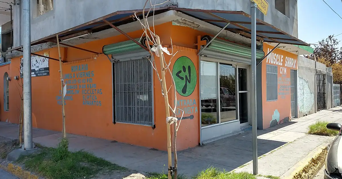 Shark gym