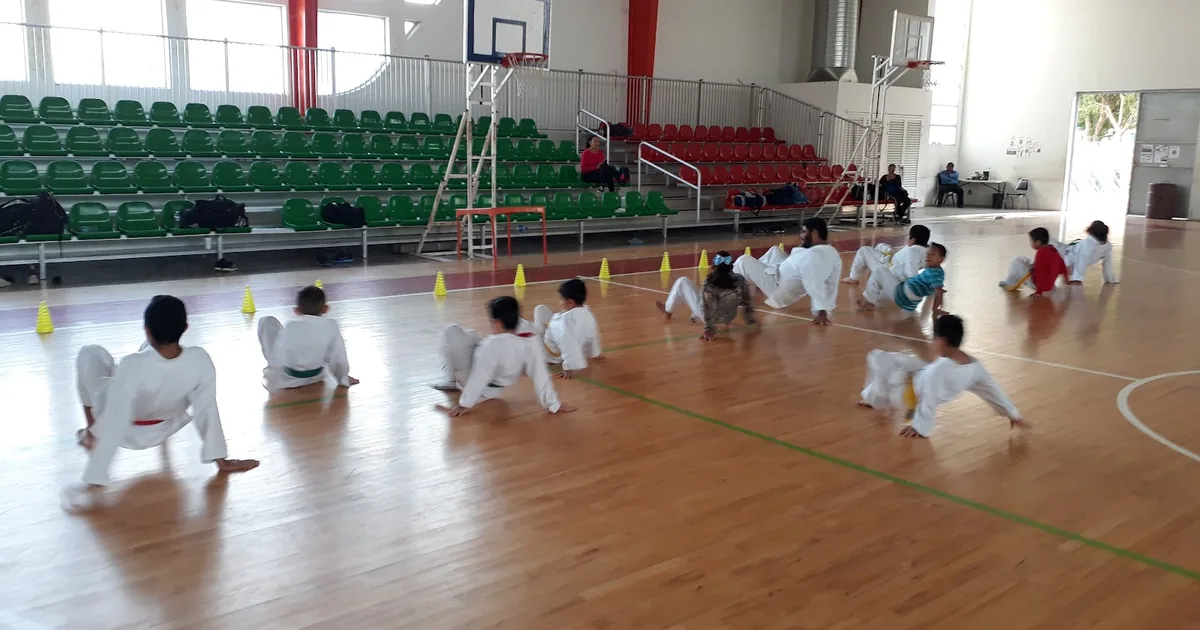Gimnasio, Benjamín Galván Maytorena