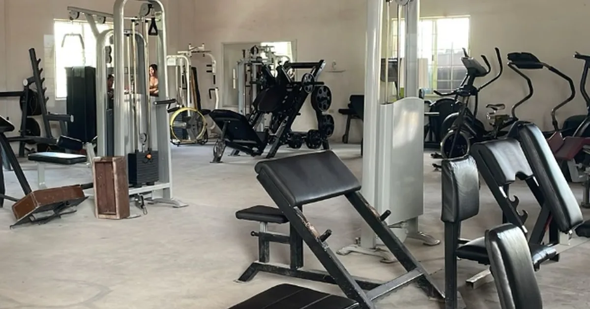 ALFA GYM