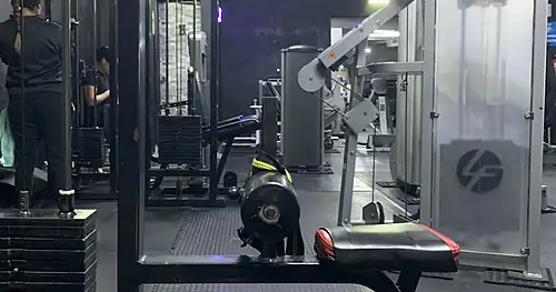 The gym reynosa, gimnasio en Reynosa, Tamaulipas