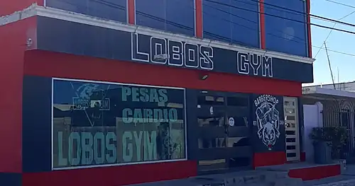 Lobos Gym Team, gimnasio en Reynosa, Tamaulipas