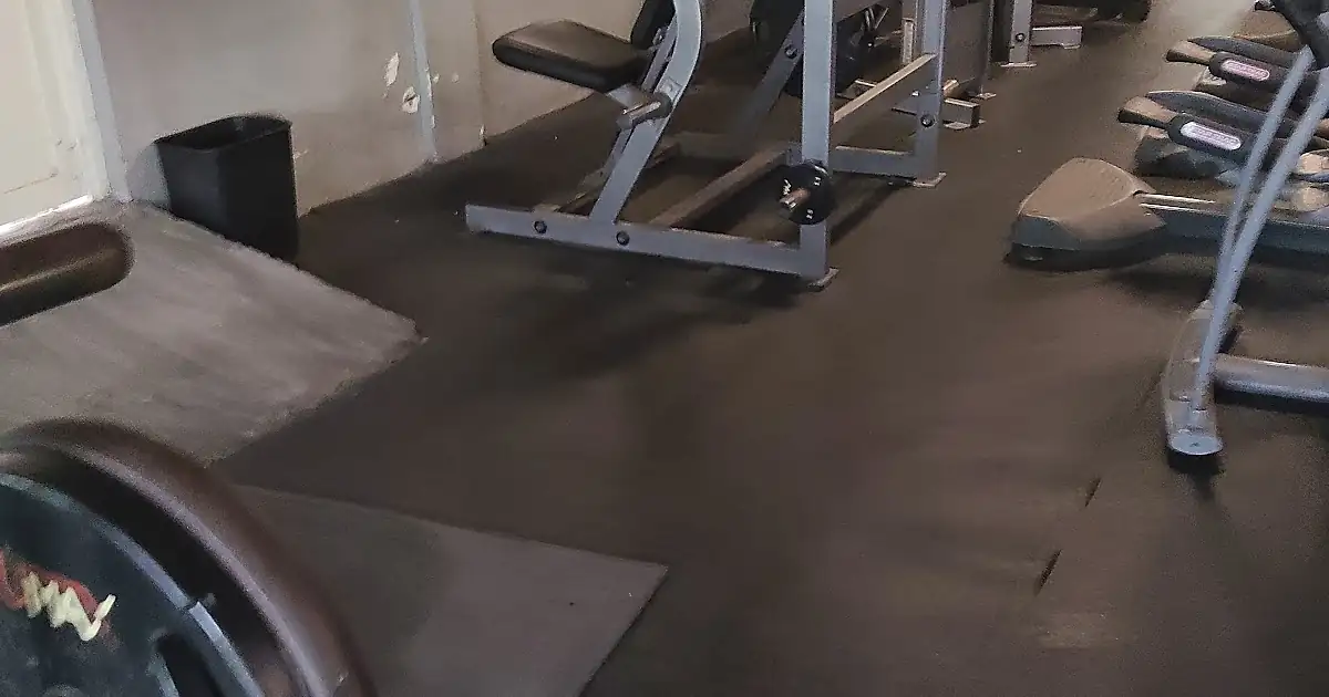Evolution Gym
