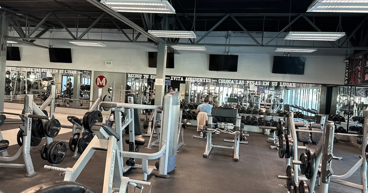 Stay Fit Global Gym