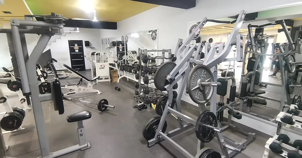 Divinos Gym