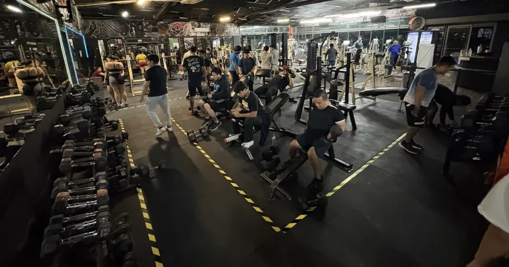 FITNESS GYM JR