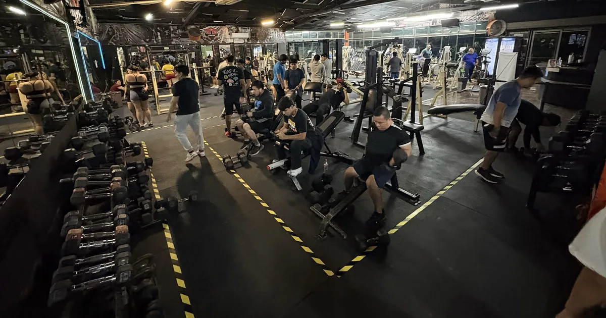 FITNESS GYM JR