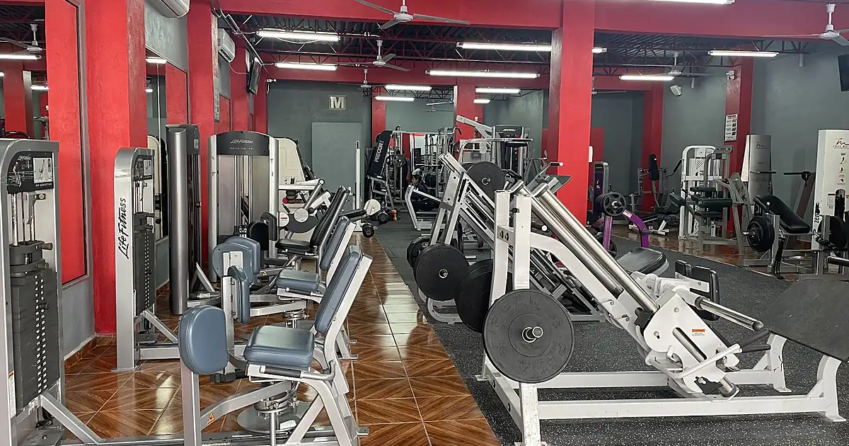 Las lomas fitness GYM